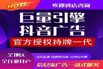 某公司网站sem托管项目纪实